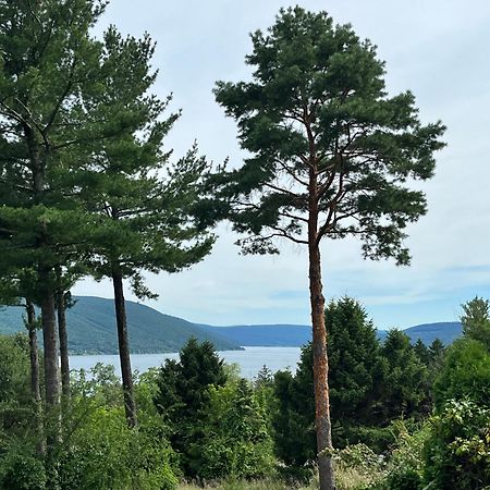 Canandaigua Lake Retreat With View And Private Beach Access, Foliage, Hike, And Ski Exterior photo