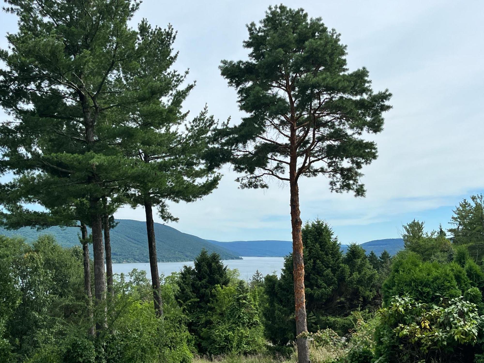 Canandaigua Lake Retreat With View And Private Beach Access, Foliage, Hike, And Ski Exterior photo